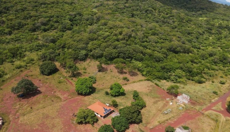 Empresário do ramo do café é preso com ajuda de drones durante operação