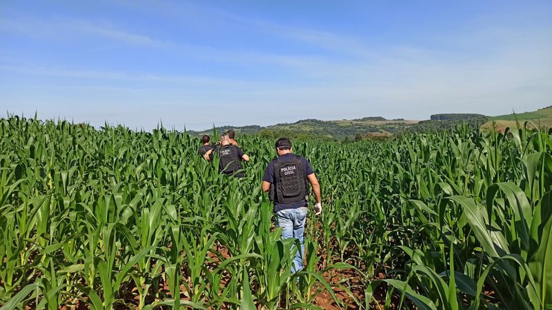 Encontrado morto com tiros na cabeça em lavoura de milho era rapaz de 21 anos