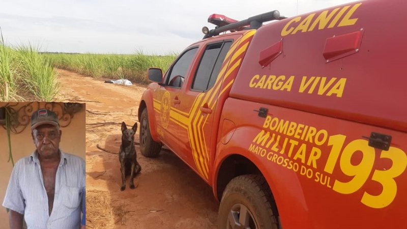 Idoso é encontrado morto em canavial dois dias após sair para tomar vacina e desaparecer