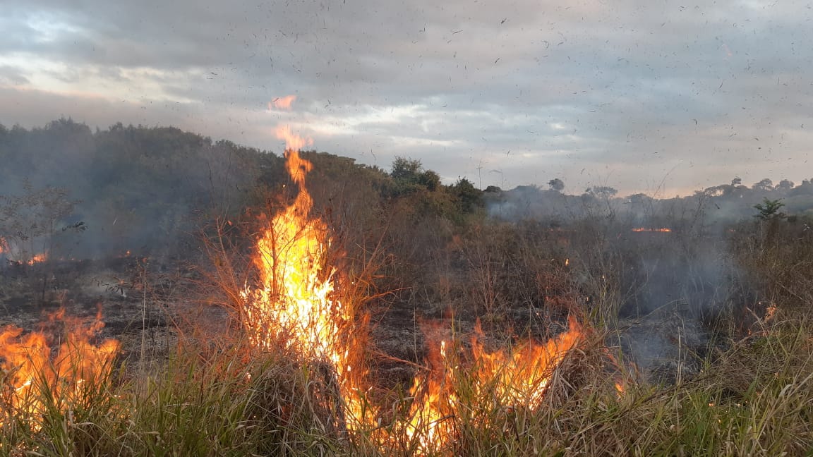 FOGO QUEIMA PARTES DE ÁREA DE PRESERVAÇÃO AMBIENTAL E MOBILIZA A GUARDA AMBIENTAL E BOMBEIROS