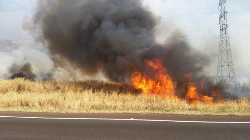 Defesa Civil alerta para riscos de incêndio com tempo seco