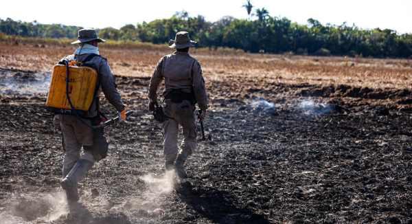 Bombeiros de MS denunciam comando por suposto assédio moral e associação diz que vai recorrer à Sejusp