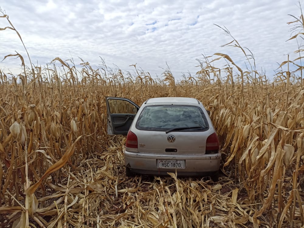 Homem ‘invade’ plantação de milho e abandona carro com 230 quilos de maconha