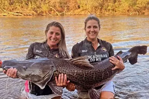 Pescadoras, irmãs capturam pintado gigante de 1,75 m de altura e 60 kg