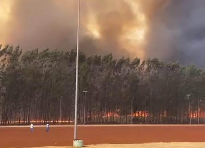 Incêndio de grandes proporções destrói lavouras ao lado da São Fernando