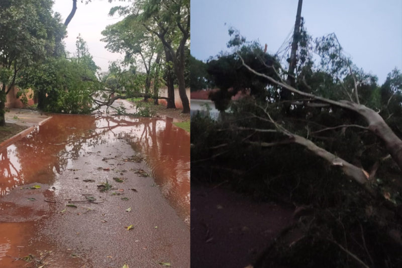 Defesa Civil atende ocorrência após vendaval em Vila Vargas