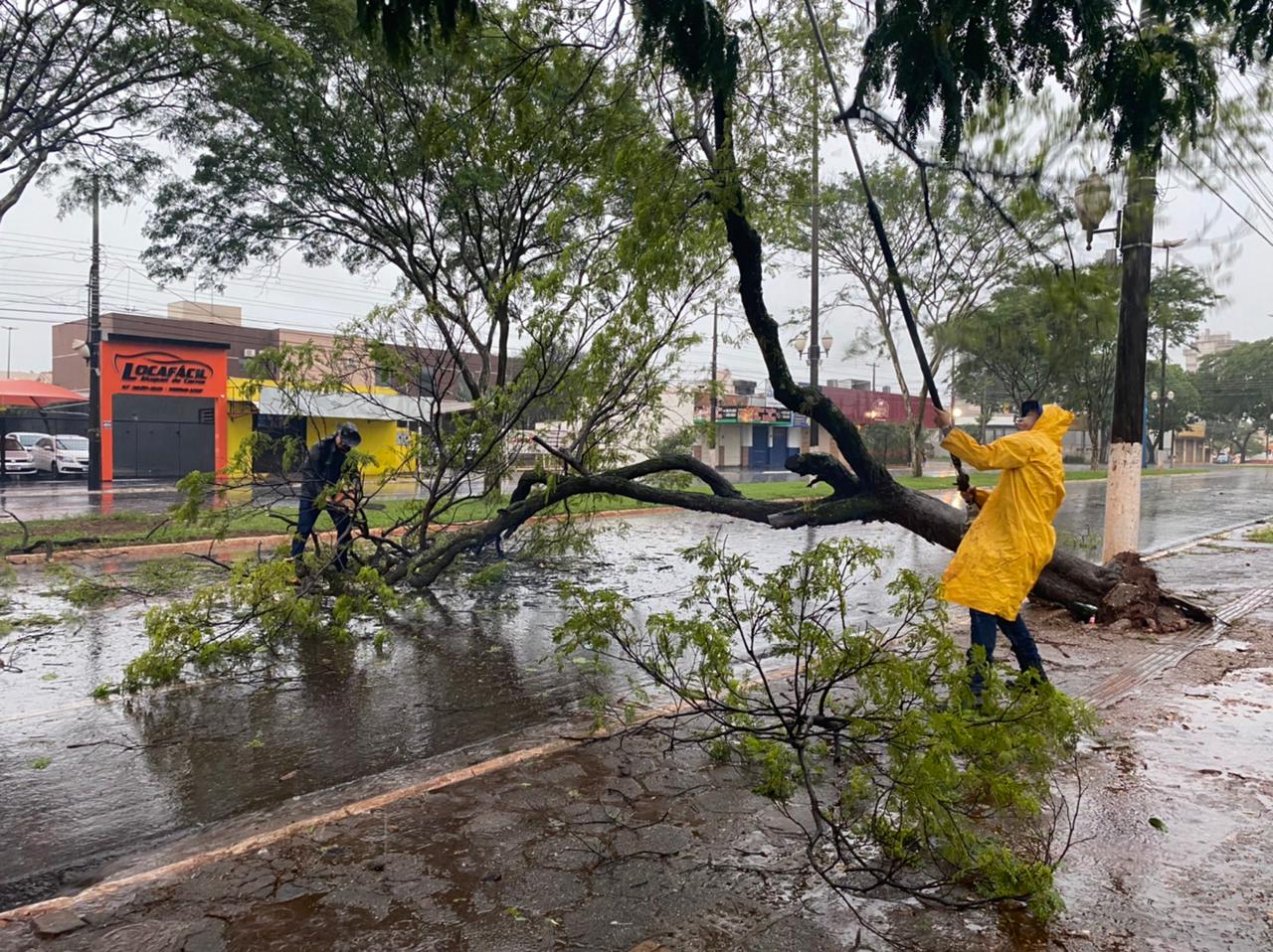 Defesa Civil atende ocorrências provocadas pela chuva em Dourados