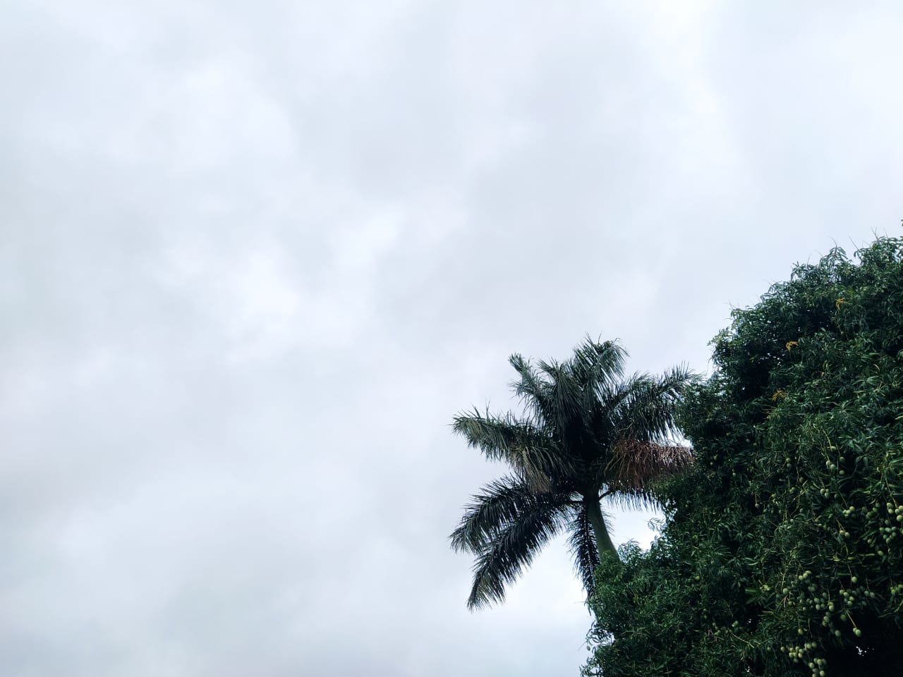 Meteorologia prevê tempo instável no final de semana e feriado