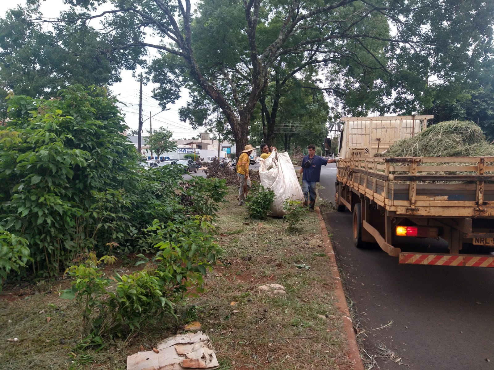 Prefeitura retira mais de 500 caminhões de galhos das ruas de Dourados