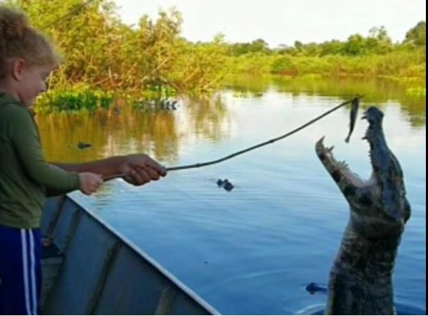 VÍDEO: Durante passeio no Pantanal, jacaré pula e abocanha isca de menina de 3 anos