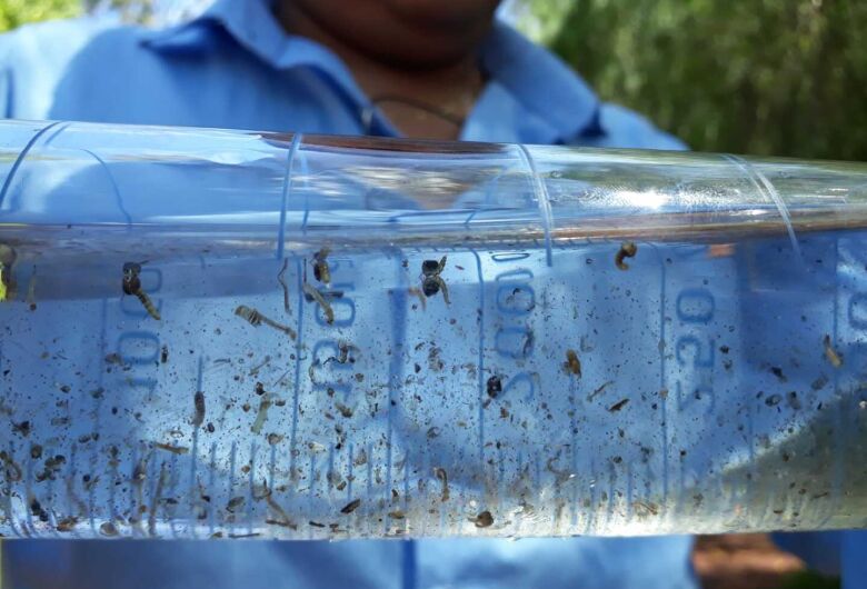 Em uma semana, Dourados quase dobra incidência de notificações por dengue