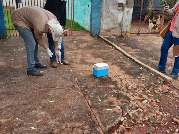 CCZ segue com campanha de vacinação antirrábica de forma itinerante