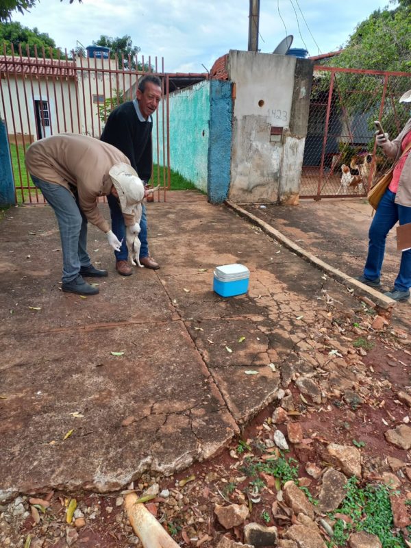 CCZ segue com campanha de vacinação antirrábica de forma itinerante