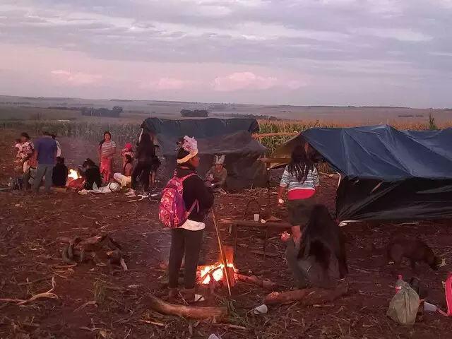 Barracos já ocupam fazenda onde guarani-kaiowá foi morto pela polícia