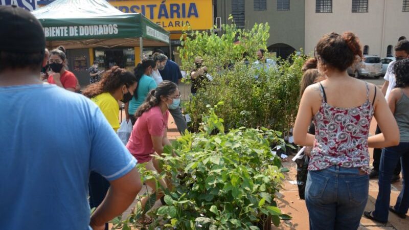 Prefeitura realiza entrega de 500 mudas em alusão ao Dia Mundial do Meio Ambiente