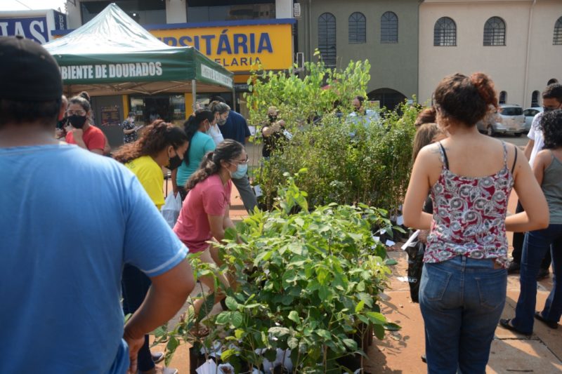 Prefeitura realiza entrega de 500 mudas em alusão ao Dia Mundial do Meio Ambiente