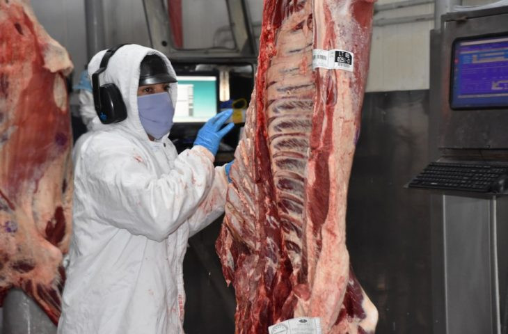 Exportações de carne cresceram quase 50% este ano em MS