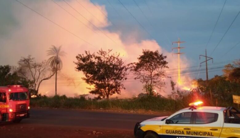 Incêndio no Viveiro de Dourados mobiliza equipes da Prefeitura