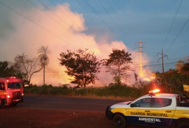 Incêndio no Viveiro de Dourados mobiliza equipes da Prefeitura