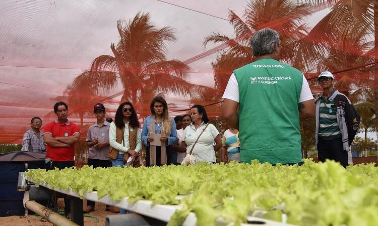 Tecnofam acontece nos dias 13, 14 e 15 de setembro no Parque de Exposições