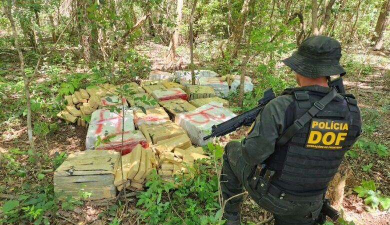 Polícia encontra mais de 600kg de maconha em meio a mata