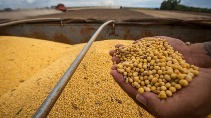 Balança comercial sul-mato-grossense acumula saldo positivo de R$ 3,7 milhões