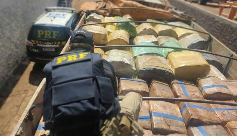 Polícia apreende caminhão carregado com 12,6 toneladas de maconha na BR-060