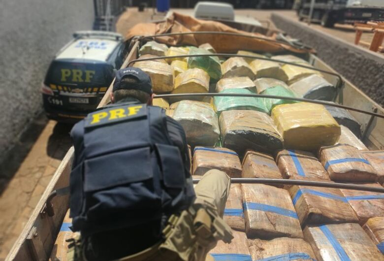 Polícia apreende caminhão carregado com 12,6 toneladas de maconha na BR-060