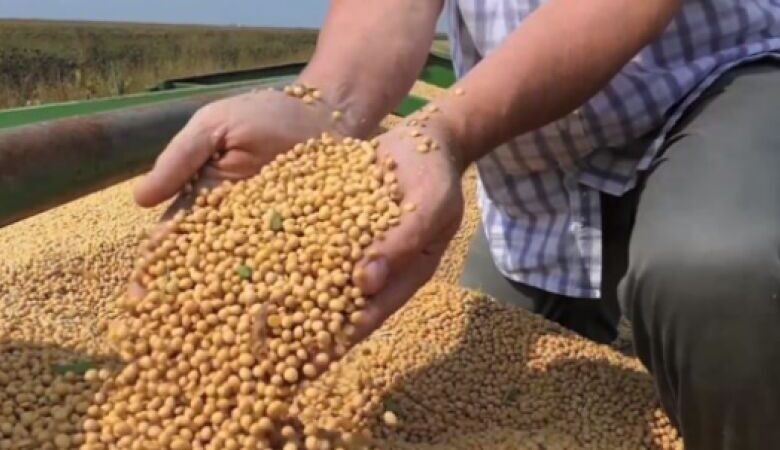 Sexta-feira começa com estabilidade nos preços do agro em Dourados