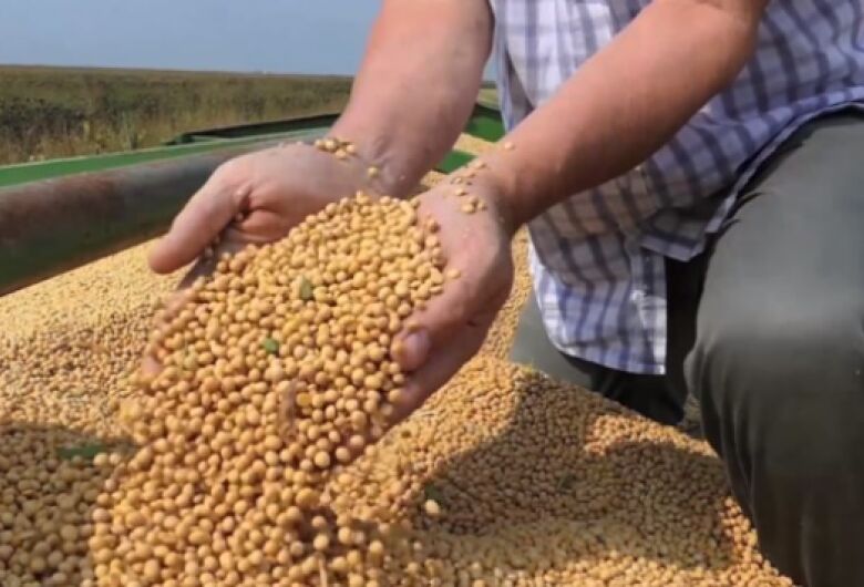 Sexta-feira começa com estabilidade nos preços do agro em Dourados