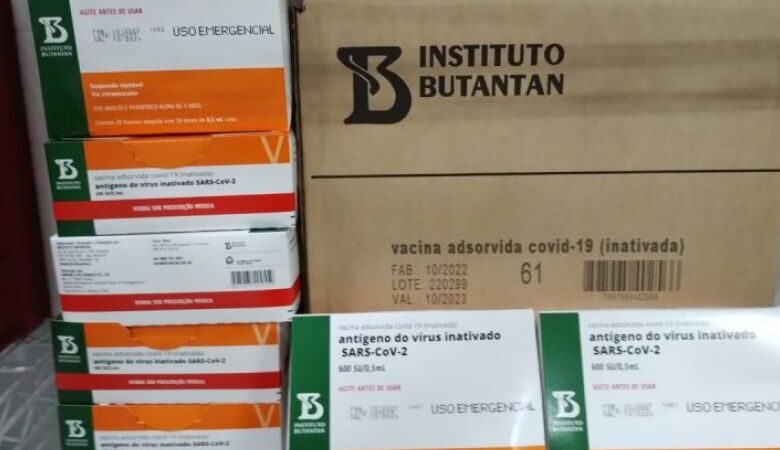 MS recebe 6,5 mil doses de Coronavac para crianças de 3 a 11 anos