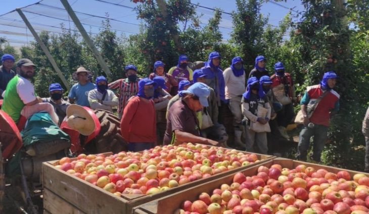 Semana começa com 4 mil vagas de trabalho em Mato Grosso do Sul; confira