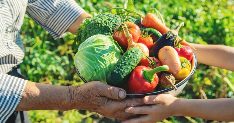 Governo retomará compras de alimentos da agricultura familiar