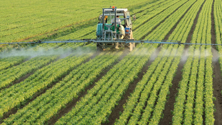 Embrapa promove orientações sobre uso eficiente de fertilizantes