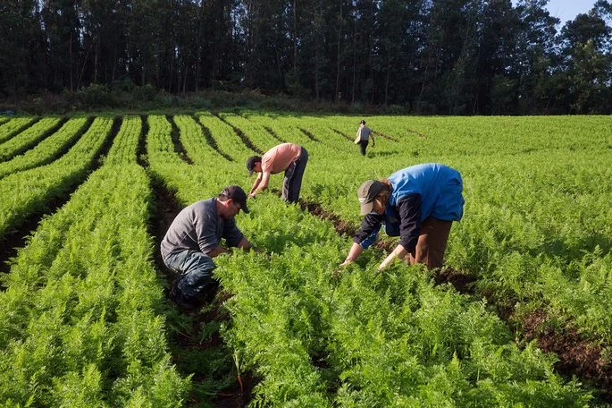 Proposta quer direcionar recursos do Fundersul a estradas que atendam agricultura familiar