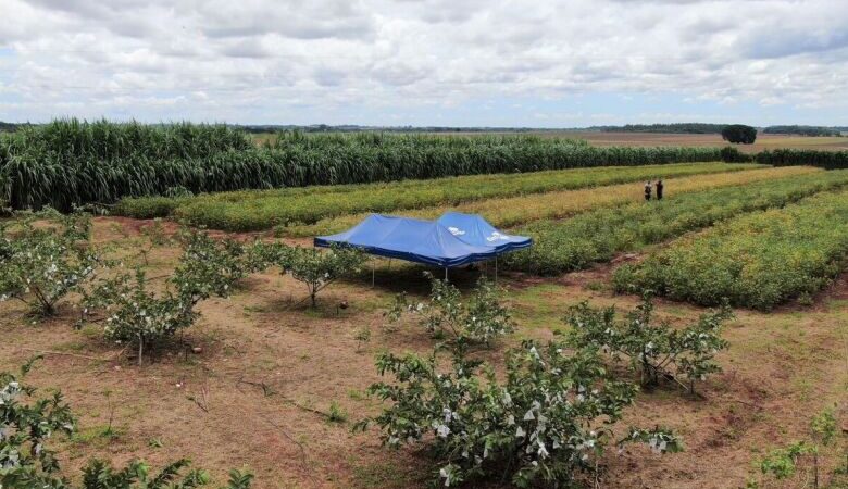 Expoagro terá debates sobre sistema orgânico, crédito rural e políticas para agricultura familiar