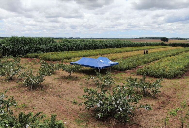 Expoagro terá debates sobre sistema orgânico, crédito rural e políticas para agricultura familiar