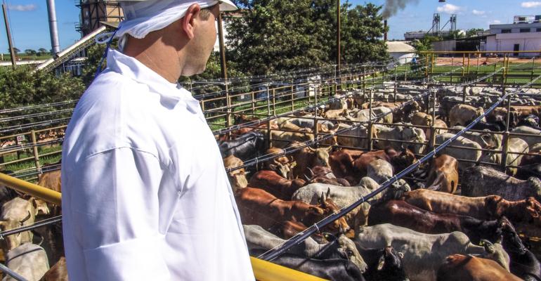 Operação contra abate prende seis e apreende 22 toneladas de carne