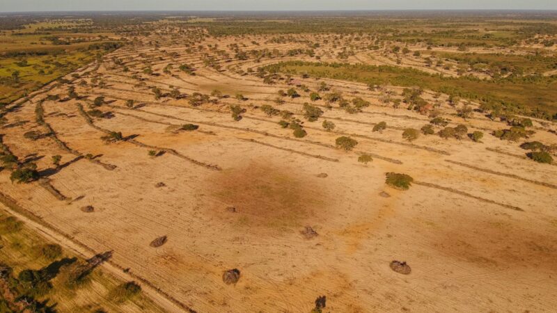 Patrola foi contratado pela Agesul para abrir estrada até fazenda no Pantanal que comprou e destruiu