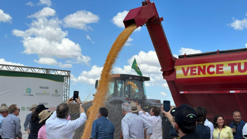 Conjuntura política e cenário atual marcam a abertura nacional da colheita do milho