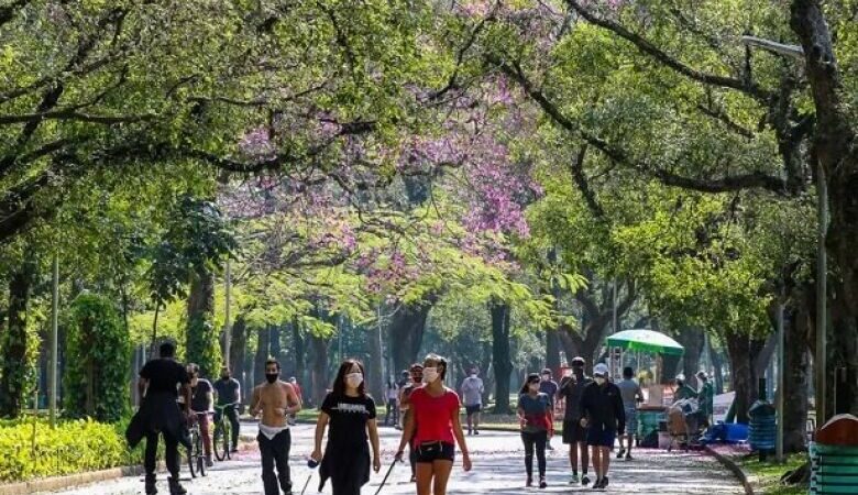 Frentes da Assembleia ligadas ao meio ambiente irão aderir à “Aliança pela Paisagem”