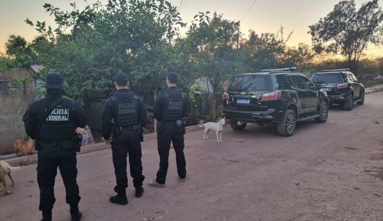 Polícia faz operação contra grupo que matou e vendeu cabeça de onça-pintada ao exterior