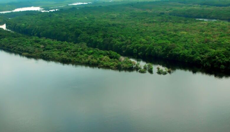 Cúpula, em Belém, será a “voz amazônica”, diz diretor da OTCA