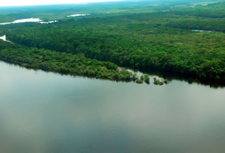 Cúpula, em Belém, será a “voz amazônica”, diz diretor da OTCA