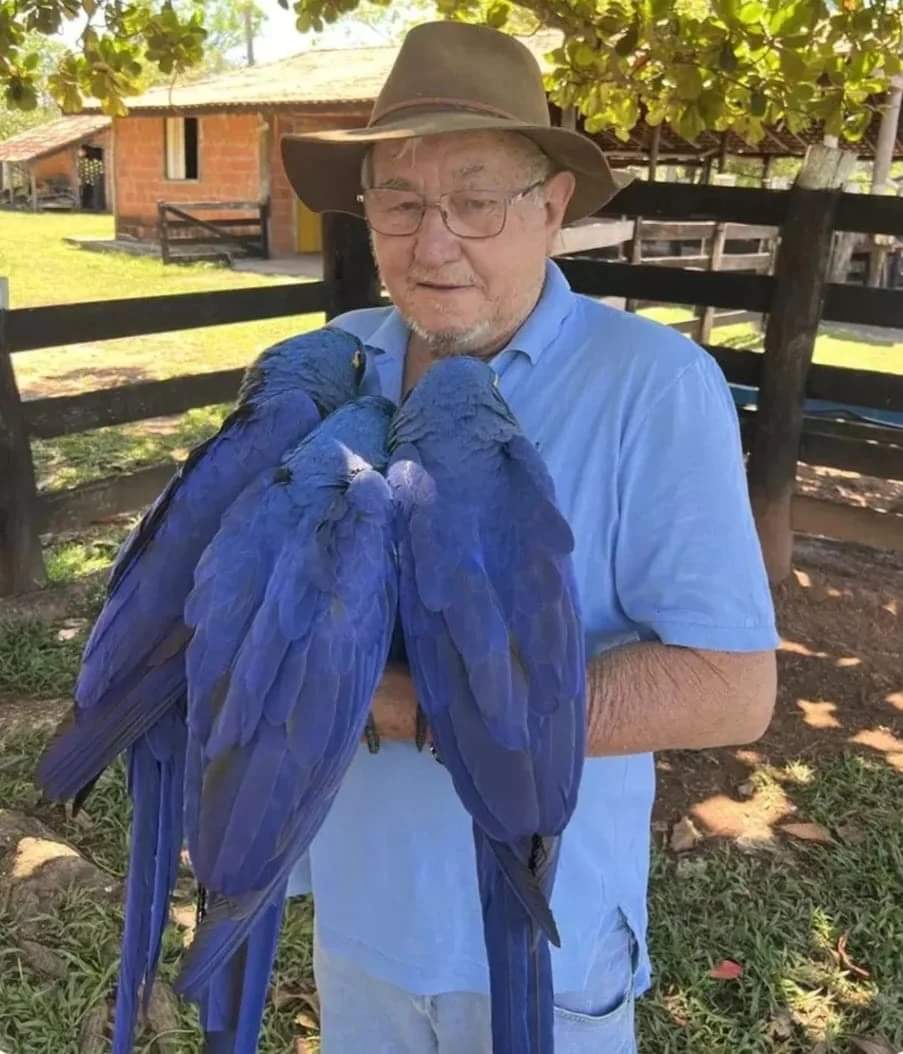 Após vídeo de idoso abraçando araras viralizar, Ibama multa empresário por usar aves como atrativo turístico em Bonito