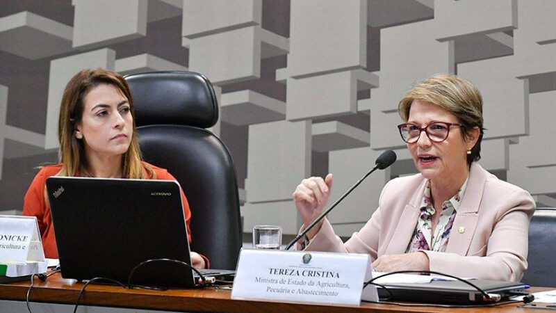 Senado contraria STF e aprova marco temporal para terras indígenas