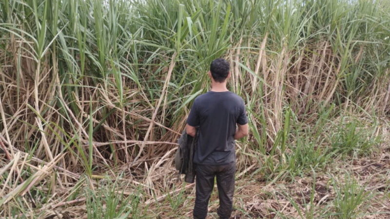 Adolescente abusada sexualmente pelo próprio pai denuncia agressor
