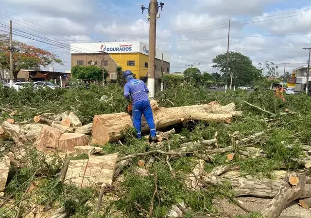 Temporal derrubou árvores e afetou fornecimento de energia em 52 bairros