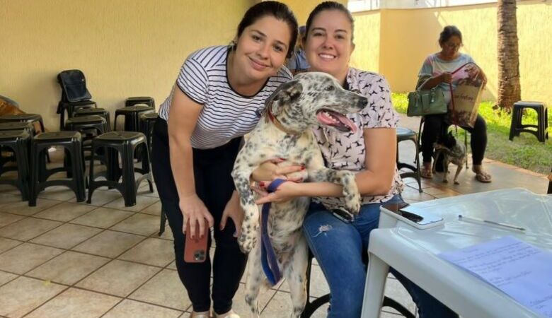 Inscrições para o Programa de Castração de Cães e Gatos reabrem na segunda