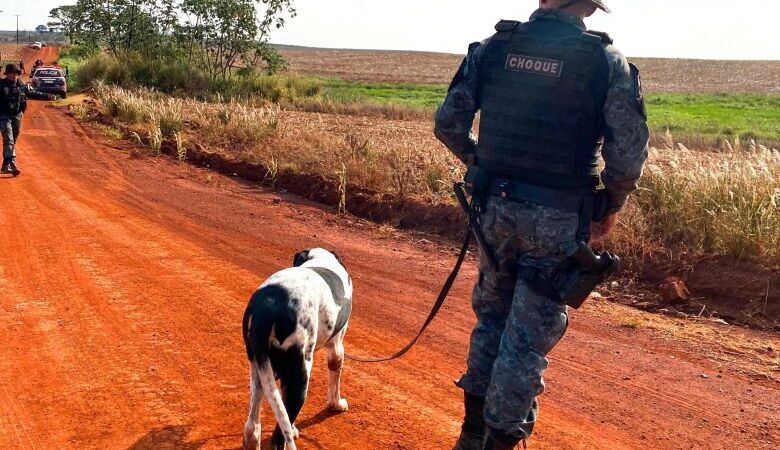 Agora com ajuda de cães farejadores, polícia continua buscas por corpo de indígena